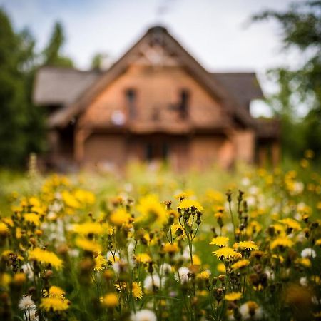 Bed and Breakfast Brzozowy Gaj Glowczyce Экстерьер фото