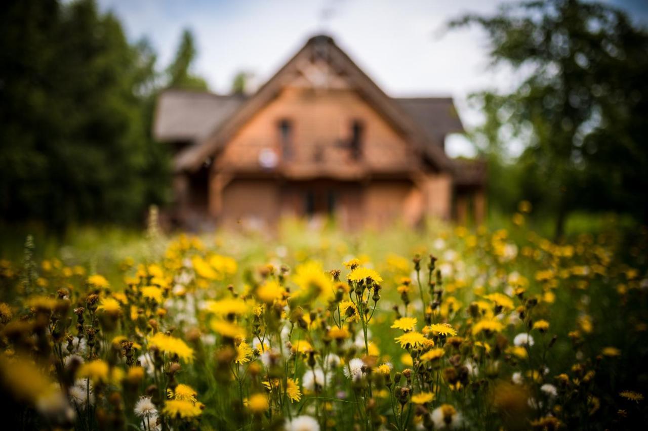 Bed and Breakfast Brzozowy Gaj Glowczyce Экстерьер фото