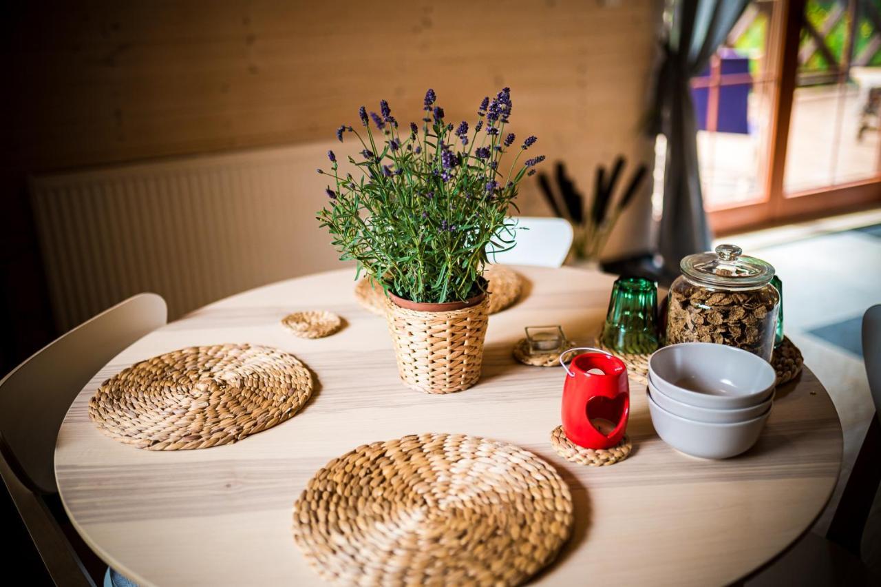 Bed and Breakfast Brzozowy Gaj Glowczyce Экстерьер фото