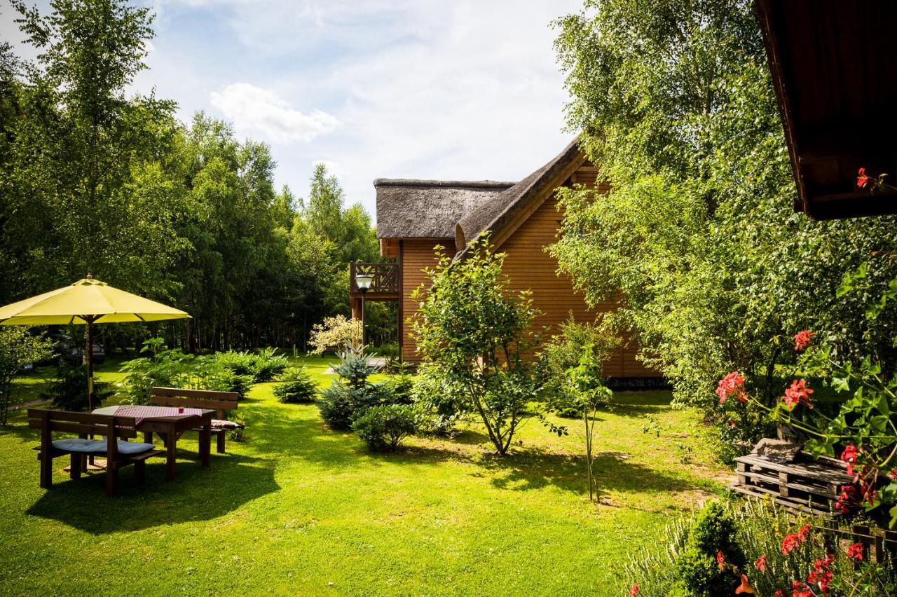 Bed and Breakfast Brzozowy Gaj Glowczyce Экстерьер фото