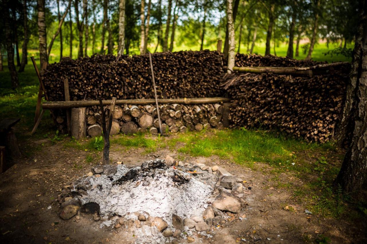Bed and Breakfast Brzozowy Gaj Glowczyce Экстерьер фото