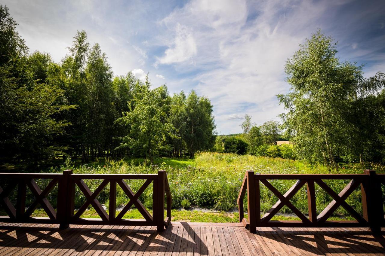 Bed and Breakfast Brzozowy Gaj Glowczyce Экстерьер фото